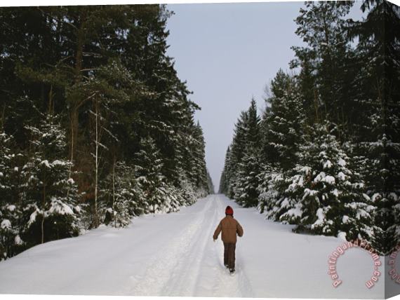 Raymond Gehman Polish Child Walking on a Snowy Road in Bialowieza Forest Stretched Canvas Painting / Canvas Art