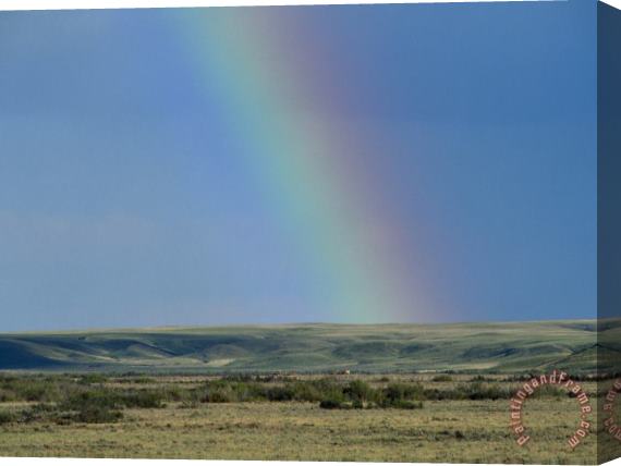 Raymond Gehman Rainbow Over The Canadian Prairie Stretched Canvas Painting / Canvas Art