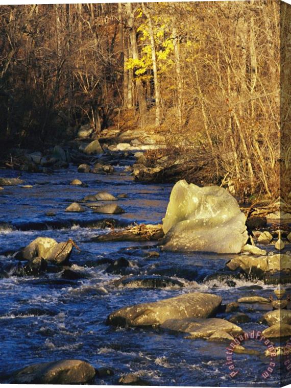 Raymond Gehman Rapids Bridge at Sunset with Boulders Yellow Foliage And Trees Stretched Canvas Painting / Canvas Art