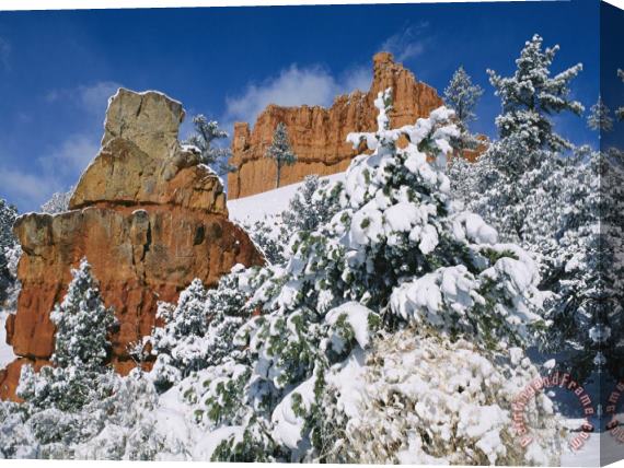 Raymond Gehman Red Rock Formations Poke Through a Late Winter Snow Stretched Canvas Painting / Canvas Art