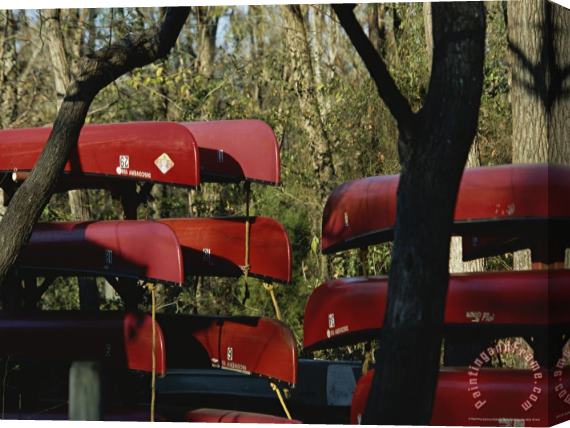 Raymond Gehman Rental Canoes Stacked on Racks Stretched Canvas Print / Canvas Art