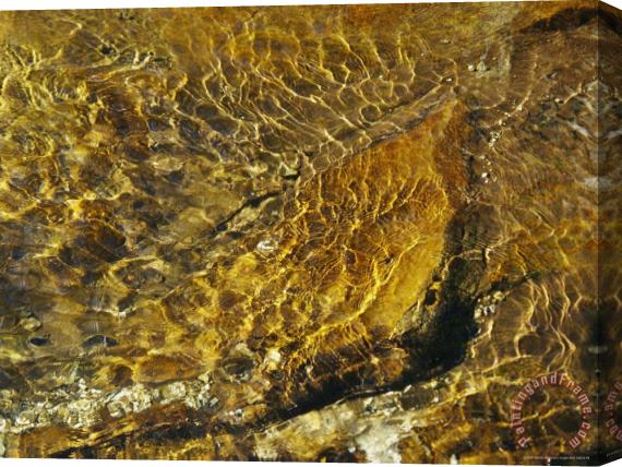 Raymond Gehman Rippling Water in Jefferson National Forest Stretched Canvas Painting / Canvas Art