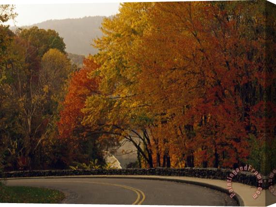 Raymond Gehman Road Going Around a Bend And Colorful Trees in Autumn Hues Stretched Canvas Painting / Canvas Art
