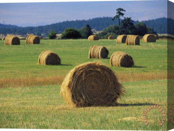 Raymond Gehman Rolls of Hay Dot a Field Stretched Canvas Painting / Canvas Art