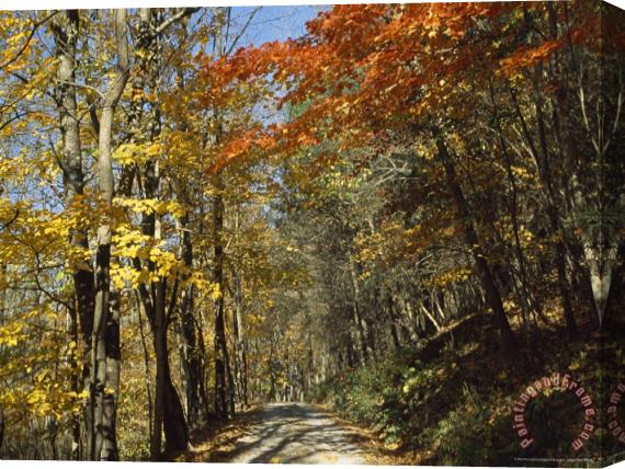 Raymond Gehman Roy Gap Road Trail Stretched Canvas Painting / Canvas Art