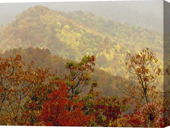 Raymond Gehman Scenic Mountain View with Forests in Autumn Colors Stretched Canvas Painting / Canvas Art