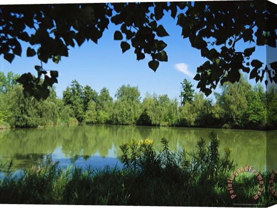 Raymond Gehman Scenic View of a Woodland Pond Or Lake Stretched Canvas Print / Canvas Art