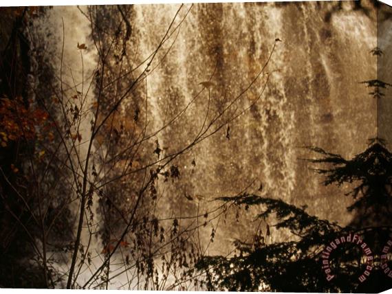 Raymond Gehman Scenic View of The Cascading Water of Blackwater Falls Stretched Canvas Painting / Canvas Art