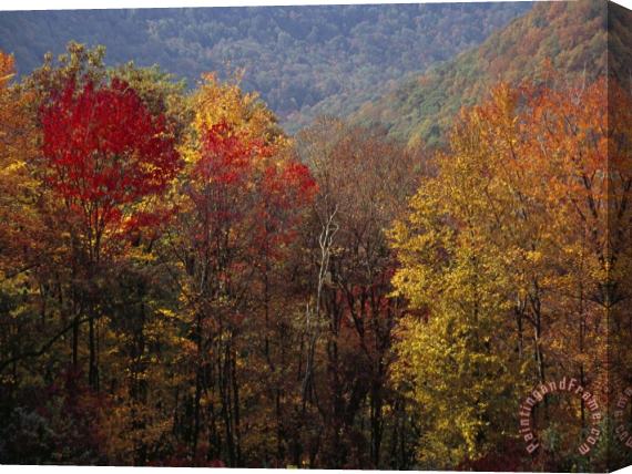 Raymond Gehman Scenic View of Tree Coverd Hills in Autumn Hues Stretched Canvas Painting / Canvas Art