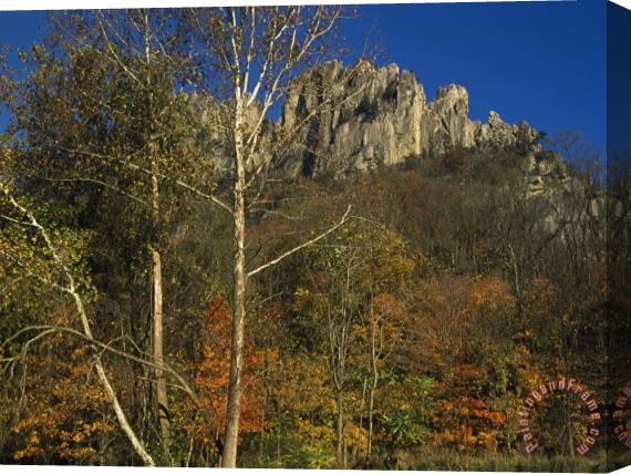 Raymond Gehman Seneca Rocks with Trees in Autumn Hues Stretched Canvas Painting / Canvas Art
