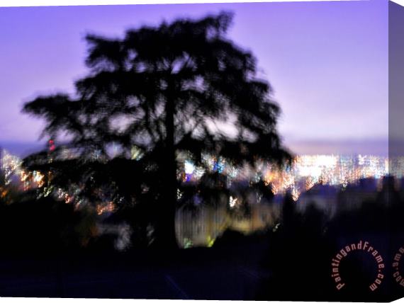 Raymond Gehman Silhouette of Tree with San Francisco in Background Stretched Canvas Print / Canvas Art