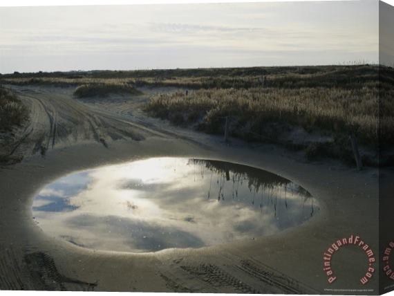 Raymond Gehman Sky Reflected in a Rain Puddle on a Beach Road Stretched Canvas Print / Canvas Art
