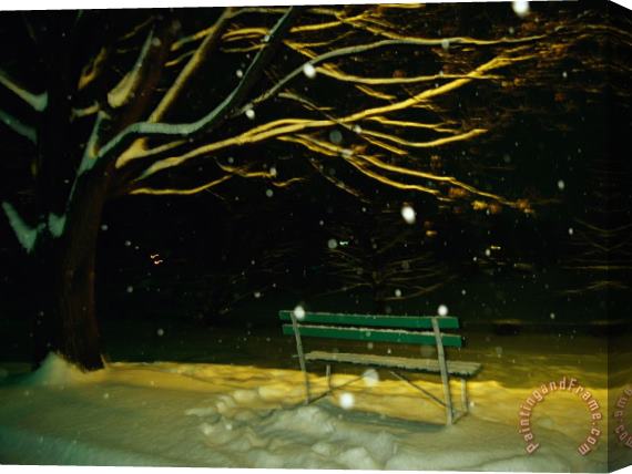 Raymond Gehman Snow Falls on a Park Bench at Night Stretched Canvas Painting / Canvas Art