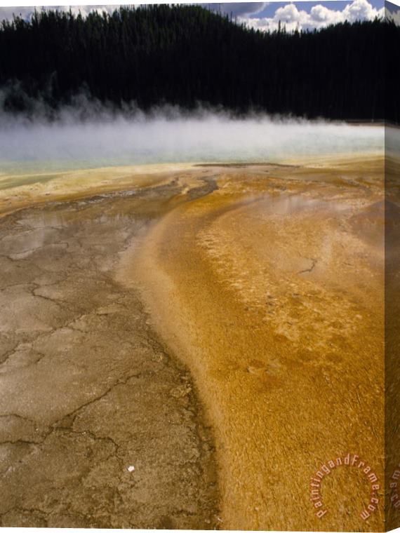 Raymond Gehman Steam Rises From Grand Prismatic Largest of Yellowstone S Thermal Springs Stretched Canvas Print / Canvas Art