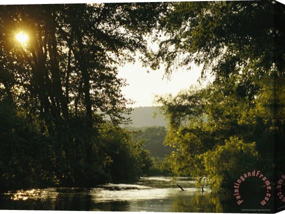 Raymond Gehman Sunset Above a Riparian Forest Bordering The Susquehanna River Stretched Canvas Print / Canvas Art