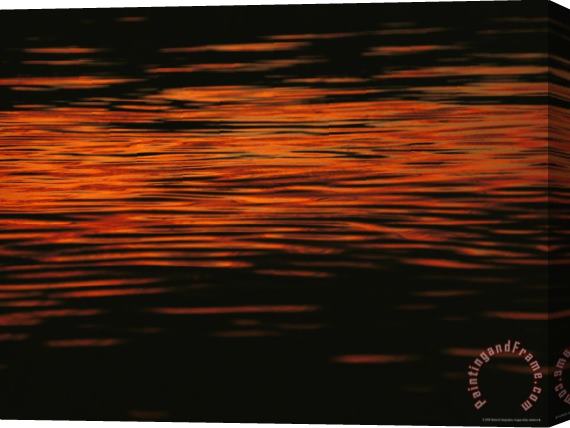 Raymond Gehman Sunset Is Reflected in The Mackenzie River Stretched Canvas Print / Canvas Art