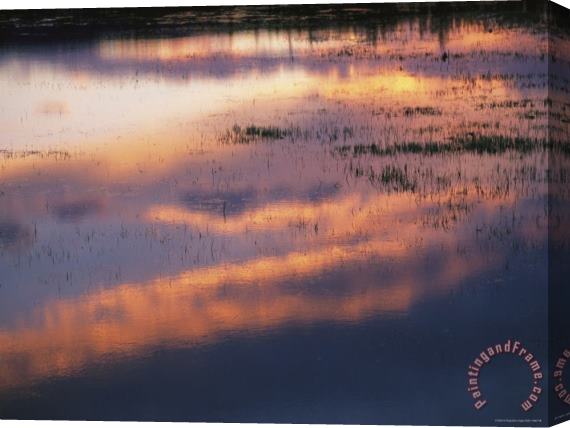 Raymond Gehman Sunset Lit Clouds Reflect on a Lake with Sedges at Twilight Stretched Canvas Print / Canvas Art