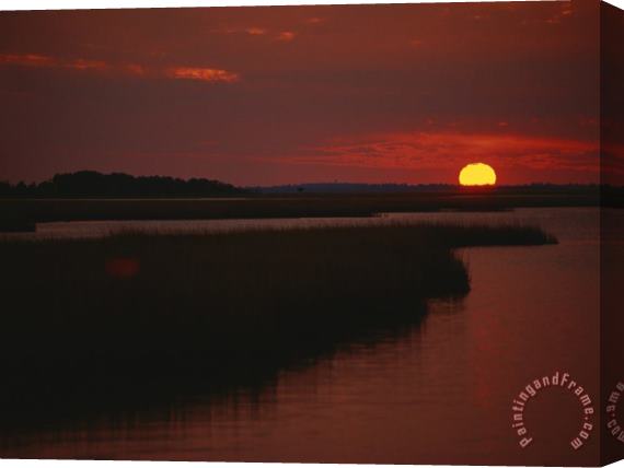 Raymond Gehman Sunset Over Assateague Channel with Cordgrass Stretched Canvas Painting / Canvas Art