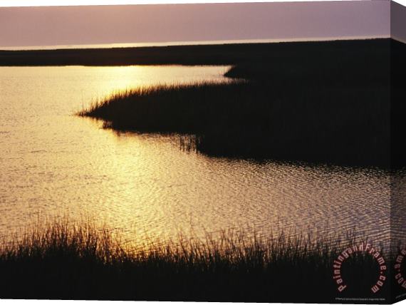 Raymond Gehman Sunset Over The Marsh at Fishbone Creek Stretched Canvas Painting / Canvas Art