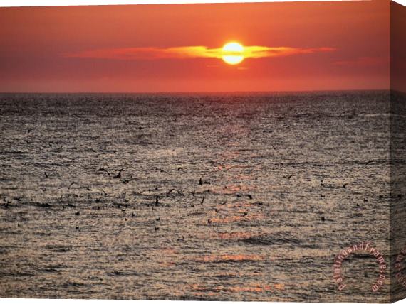 Raymond Gehman Sunset Over The Ocean Stretched Canvas Print / Canvas Art