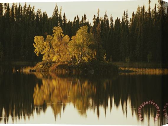 Raymond Gehman Surrounding Forest Is Reflected in The Still Lake Stretched Canvas Print / Canvas Art