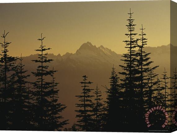 Raymond Gehman Tall Fir Trees Are Silhouetted Against a Snowy Mountain Range Stretched Canvas Print / Canvas Art