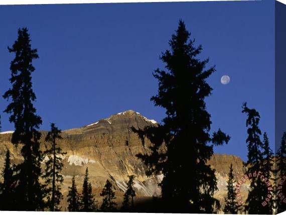 Raymond Gehman The Moon Sets Over Little Odaray Mountain Lake O Hara Region of Yoho National Park Stretched Canvas Painting / Canvas Art
