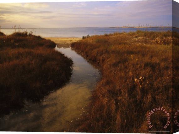 Raymond Gehman Tidal Creek Through Salt Marsh Grasses Stretched Canvas Painting / Canvas Art