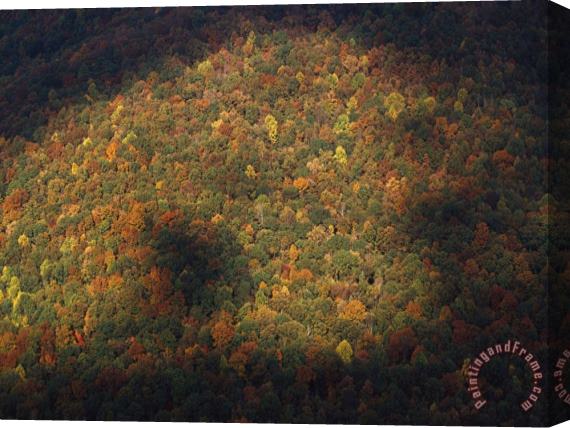Raymond Gehman Trees in Autumn Foliage Seen From The Grand View Overlook Stretched Canvas Print / Canvas Art