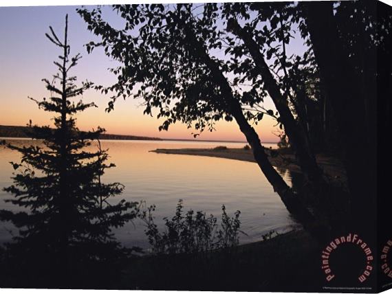 Raymond Gehman Trees Stand Silhouetted Against Waskesiu Lake at Sunset Stretched Canvas Print / Canvas Art