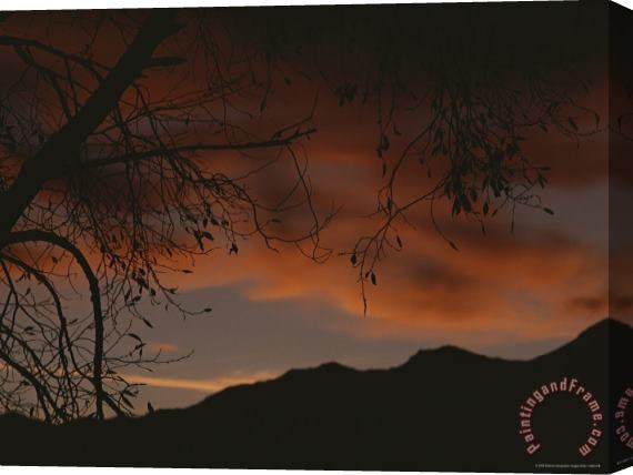 Raymond Gehman Twilight View Grand Teton National Park Wyoming Stretched Canvas Print / Canvas Art