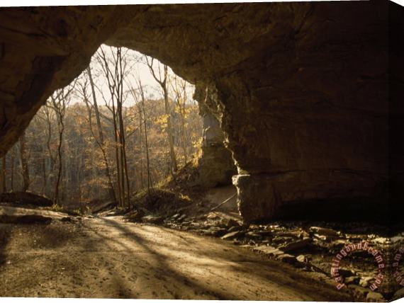 Raymond Gehman View Looking Out From The Mouth of a Cave Looking Out Into a Forest Stretched Canvas Print / Canvas Art