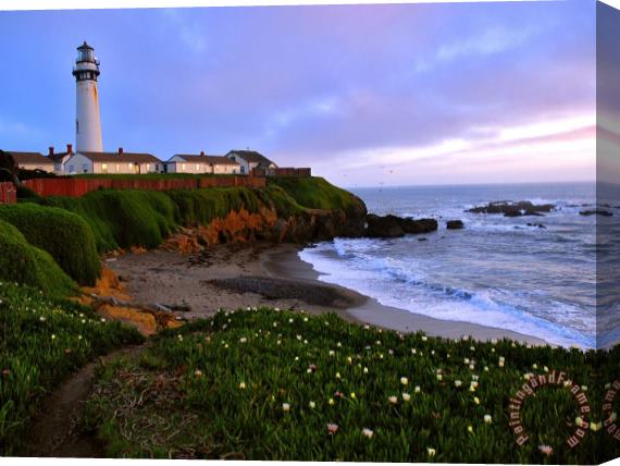 Raymond Gehman View of Pigeon Point Lighthouse Off Scenic Route 1 California Stretched Canvas Painting / Canvas Art