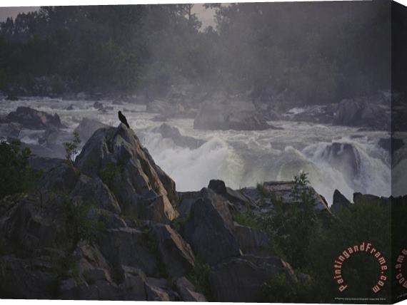 Raymond Gehman View of Waterfalls at Great Falls State Park at Dawn Stretched Canvas Print / Canvas Art
