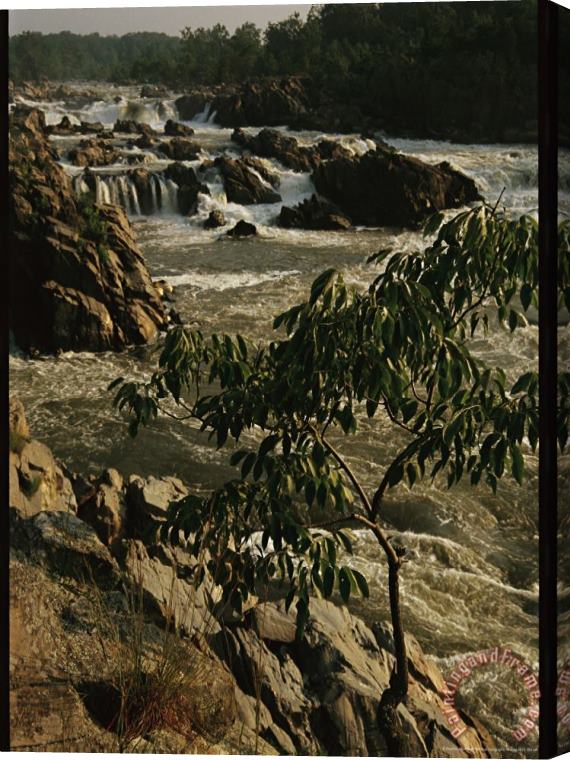 Raymond Gehman View of Waterfalls at Great Falls State Park Stretched Canvas Print / Canvas Art