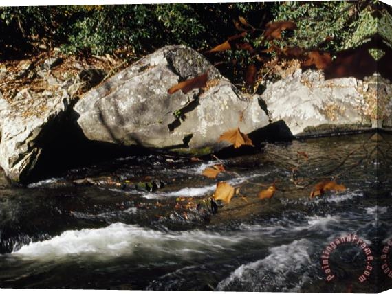 Raymond Gehman Water Rushing Past Boulders Along The Banks of The Nantahala River Stretched Canvas Painting / Canvas Art