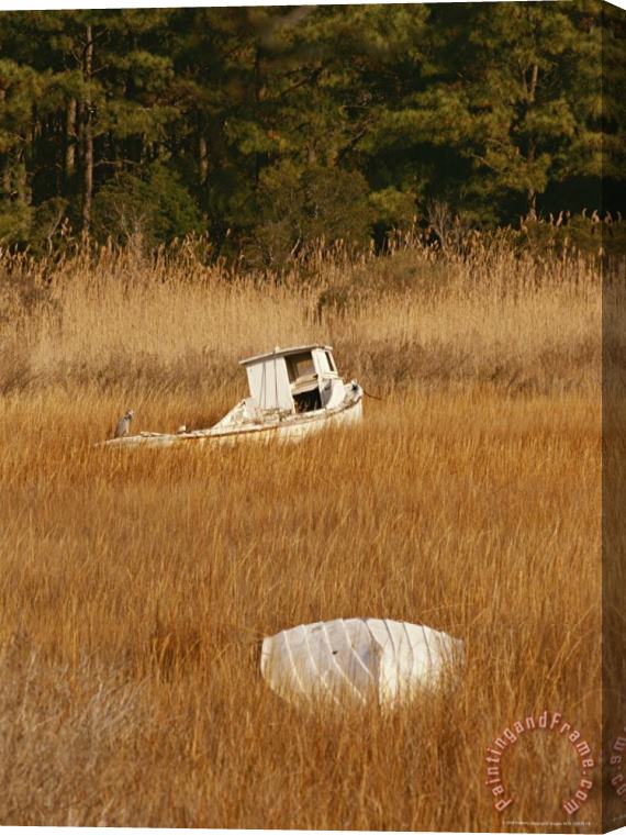 Raymond Gehman Watermens Boats And a Great Blue Heron in a Cordgrass Salt Marsh Stretched Canvas Print / Canvas Art