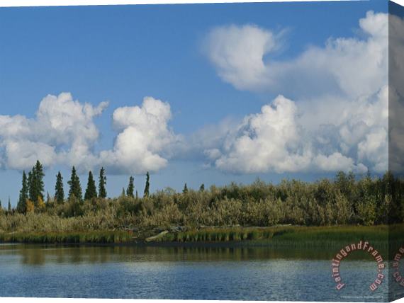 Raymond Gehman White Clouds Form Above The Mackenzie River Delta Stretched Canvas Painting / Canvas Art