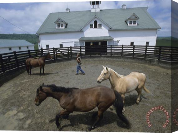 Raymond Gehman Woman with Her Horses in a Fenced Pen Outside The Stables Stretched Canvas Painting / Canvas Art