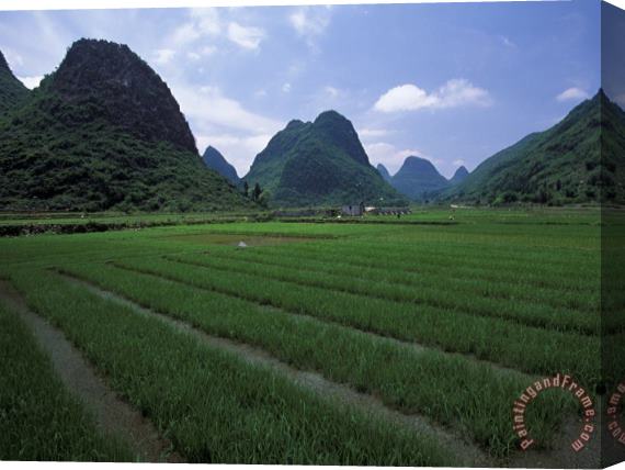 Raymond Gehman Yangdi Valley Farm Fields Guilin Guangxi China Stretched Canvas Print / Canvas Art
