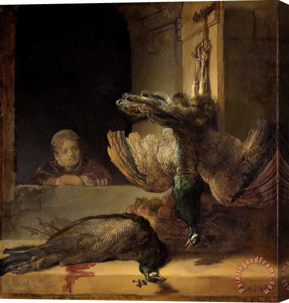 Rembrandt Dead Peacocks Stretched Canvas Print / Canvas Art