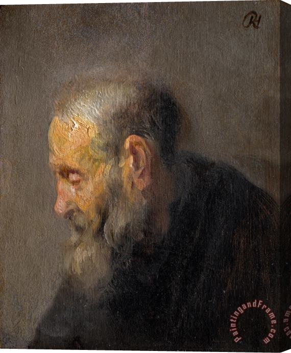 Rembrandt Harmensz van Rijn Study of an Old Man in Profile Stretched Canvas Painting / Canvas Art