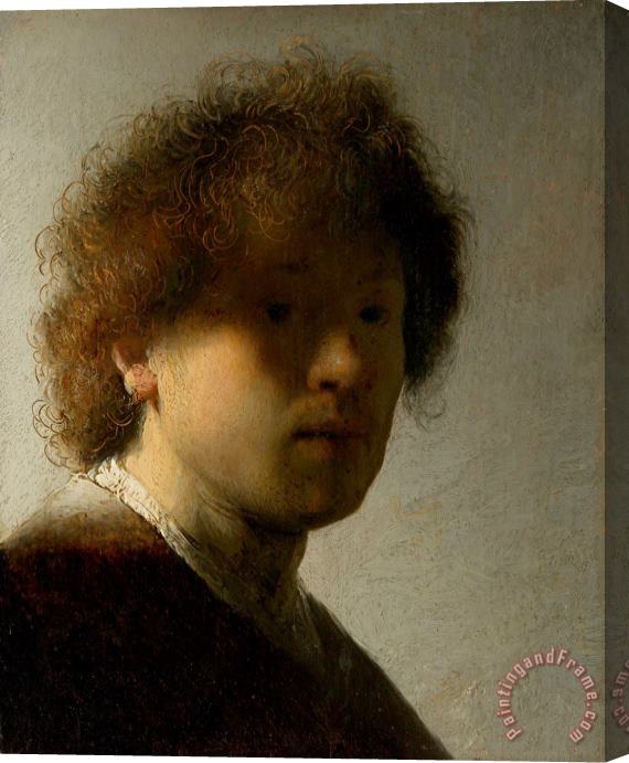 Rembrandt Self Portrait at an Early Age Stretched Canvas Print / Canvas Art