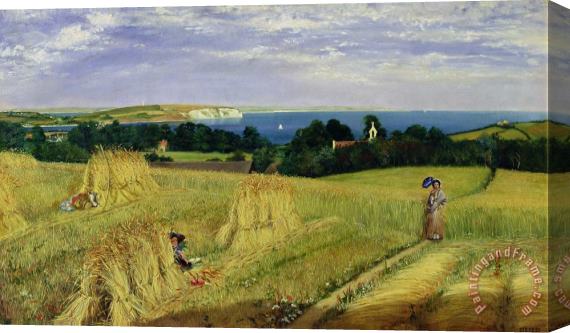 Richard Burchett Corn Field in the Isle of Wight Stretched Canvas Print / Canvas Art