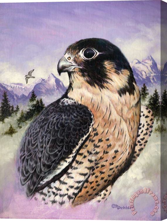 Richard De Wolfe Peregrine Falcon Stretched Canvas Painting / Canvas Art