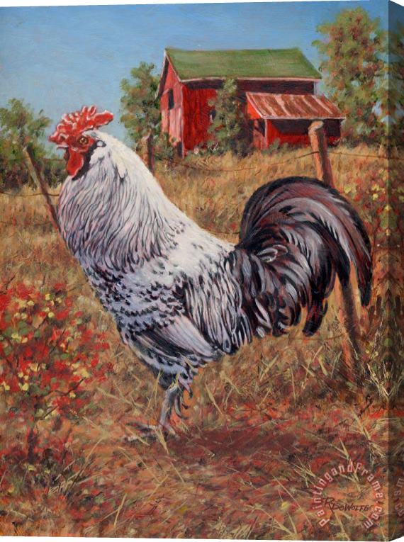 Richard De Wolfe Silver Laced Rock Rooster Stretched Canvas Painting / Canvas Art