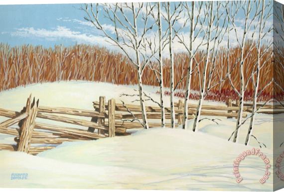 Richard De Wolfe Winter Poplars 2 Stretched Canvas Print / Canvas Art