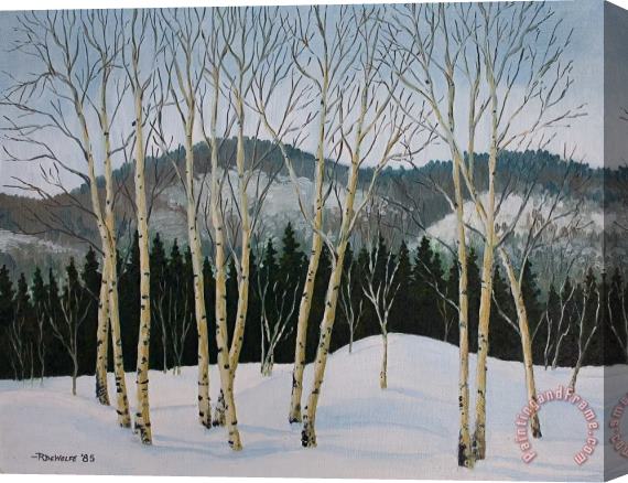 Richard De Wolfe Winter Poplars Stretched Canvas Print / Canvas Art