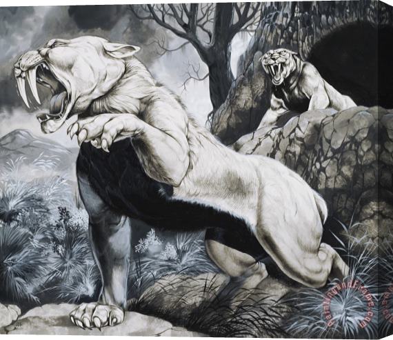 Richard Hook Sabre-toothed Tigers Stretched Canvas Print / Canvas Art
