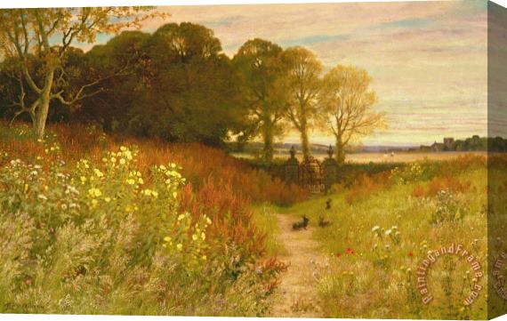 Robert Collinson Landscape with Wild Flowers and Rabbits Stretched Canvas Print / Canvas Art